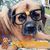 Crystal Marling's profile image