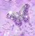 Barbara Troyer's profile image