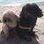 Tracy Holt DeVack's profile image