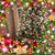 Pam Carlstrom's profile image