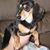 Beth Meyer-Franz's profile image