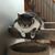 Cherie Noullet's profile image