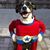Shelley Hamilton's profile image