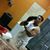Jose-g Arvizo Torres's profile image