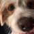 Anne Wolff's profile image