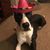 Emily McGuinness Stallings's profile image