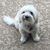 Kersten Williams Dusterhoft's profile image