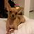 Judi Mahoney's profile image
