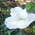 Waunita Washington's profile image