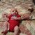 Bobby Davidson's profile image