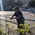 Adolfo Mosca's profile image