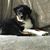 Rebecca Brockman Perantoni's profile image