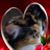 Jennifer Black's profile image