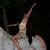 Claudia Bernheim's profile image