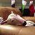 Summer Carstens's profile image