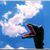 Craig Clark's profile image