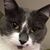 Linda Lee Chambers Brown's profile image