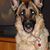 Annette Bigler Mulholland's profile image