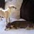 Betty Kasson's profile image
