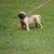 Karen Reed Crawford's profile image