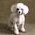 Lori Woodley's profile image