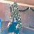 Kimberly Paxton-Cerbone Hardy's profile image