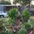 Carol Bramhall's profile image