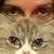 Paula Ellen Breen's profile image