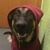 Rheannon Stover Weaver's profile image