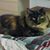 Kimie Turnage's profile image