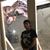 Jesse Alexander Papaleo's profile image
