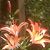 June Ragsdale Whitley's profile image