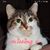 Karen Wright's profile image