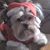 Reva Combs's profile image