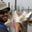 Dave Donarski's profile image