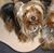 Sandra Salley's profile image