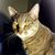 Eileen Buzzell's profile image