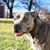 Melissa Bilderback's profile image