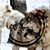 Sarah Crawmer's profile image