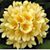 Kathi Jo Krick Wolfe's profile image