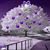 Nadine Sansone's profile image