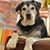 Catie Clark's profile image