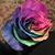 Jeanne-Marie Ramsey's profile image