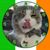Ben Hayes's profile image