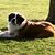 Karen Wickert's profile image