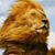 Doug Rose's profile image