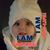 DeeDee Bridges's profile image