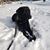 Paulette Hicks's profile image
