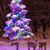 Mary Bagley Sparks's profile image