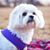 Judy Koppenhaver's profile image